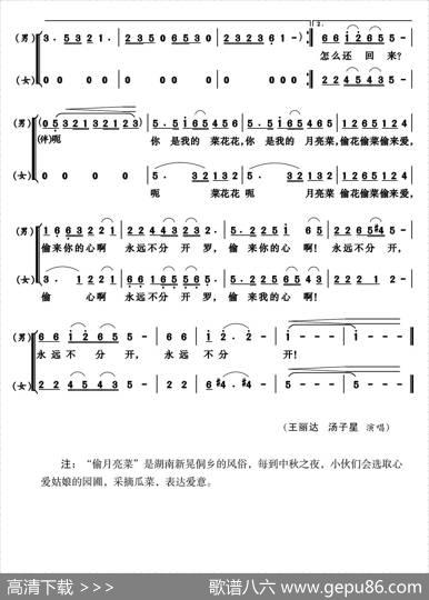 月亮菜 - 玉镯儿|江晖