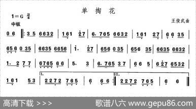 中国民族民间舞曲选（一)东北秧歌：单掏）|王俊武