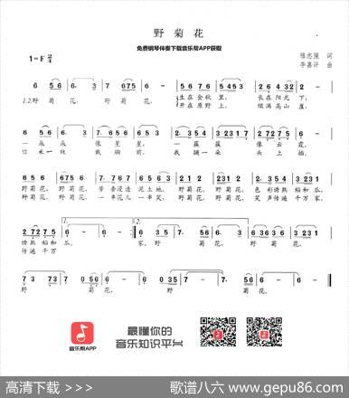 野菊花 - 穆志强|李嘉评