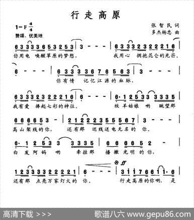 行走高原 - 张智民|多杰杨忠