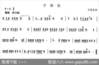 中国民族民间舞曲选（二)山东秧歌：不倒）|王俊武