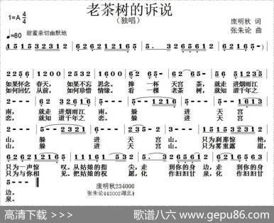 老茶树的诉说 - 庞明秋|张朱论