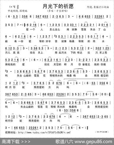 月光下的祈愿