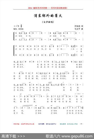 浦东郊外的篝火（女声独唱） - 许如忠|马义平
