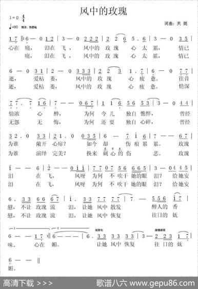 风中的玫瑰（天妮词曲） - 天妮|天妮