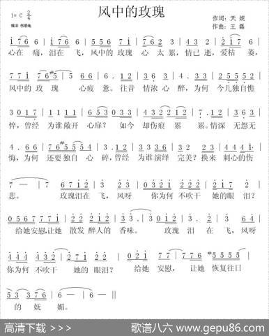 风中的玫瑰（天妮词王磊曲） - 天妮|王磊