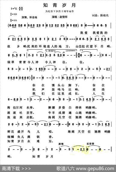 知青岁月（陈晓光词曲） - 陈晓光|陈晓光