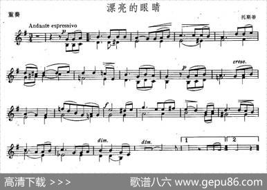 漂亮的眼睛（重奏）|托斯蒂