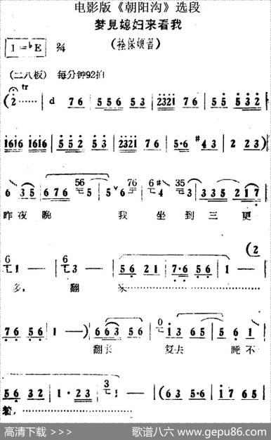 梦见媳妇来看我（电影版《朝阳沟》选段、拴保娘唱段）