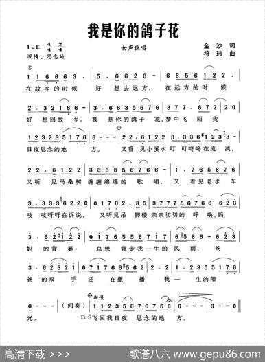 我是你的鸽子花 - 金沙|符玮