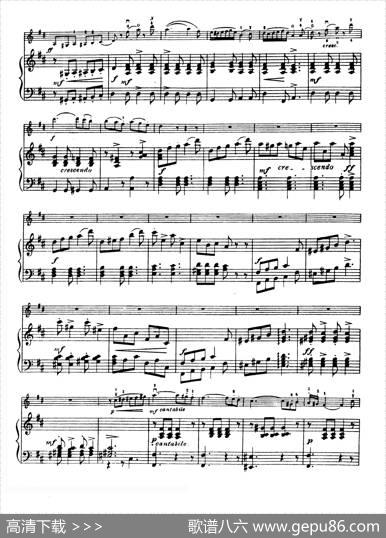 D大调学生协奏曲（塞茨作品第7号）|塞茨
