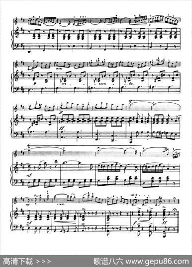 D大调学生协奏曲（塞茨作品第7号）|塞茨