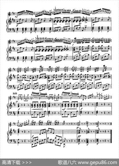 D大调学生协奏曲（塞茨作品第7号）|塞茨