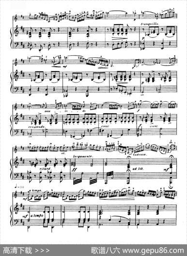 D大调学生协奏曲（塞茨作品第7号）|塞茨