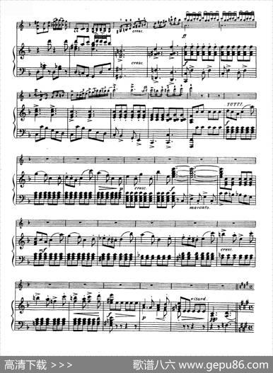 D大调学生协奏曲（塞茨作品第7号）|塞茨
