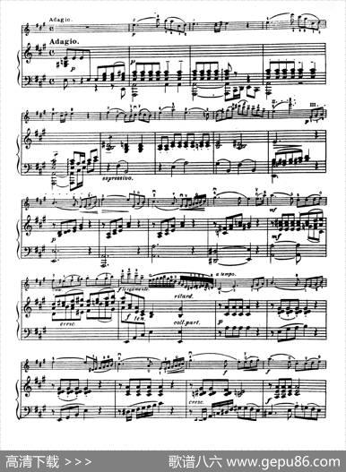 D大调学生协奏曲（塞茨作品第7号）|塞茨