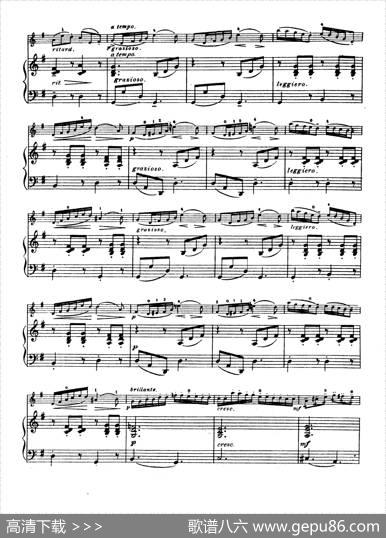 G大调学生协奏曲（塞茨作品第13号）|塞茨