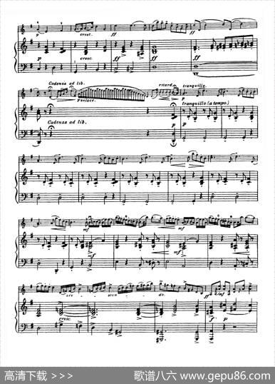 G大调学生协奏曲（塞茨作品第13号）|塞茨