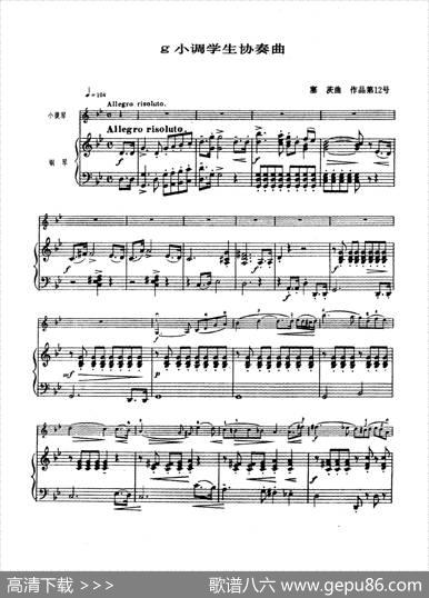 g小调学生协奏曲（塞茨作品第12号）|塞茨