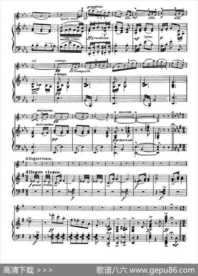 g小调学生协奏曲（塞茨作品第12号）|塞茨