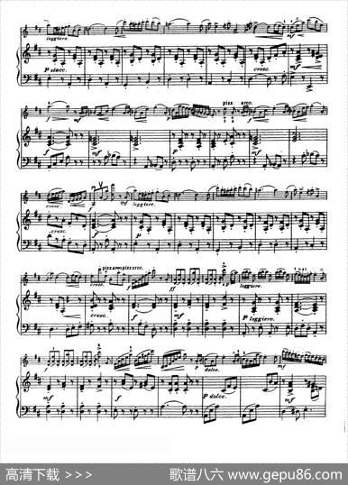 D大调学生协奏曲（塞茨作品第15号）|塞茨