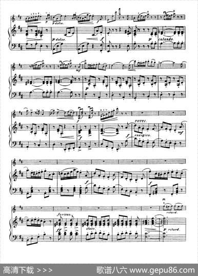 D大调学生协奏曲（塞茨作品第15号）|塞茨
