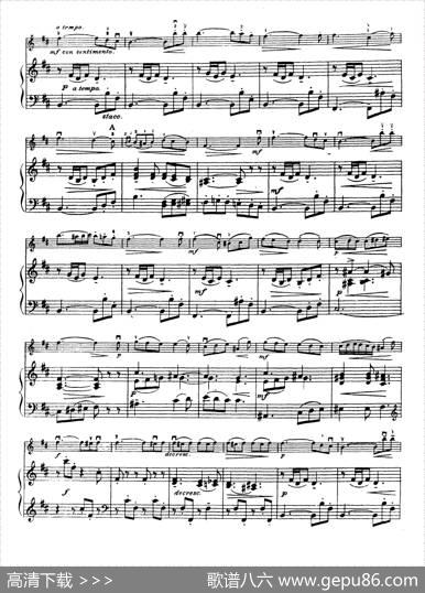 D大调学生协奏曲（塞茨作品第15号）|塞茨
