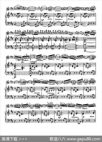 D大调学生协奏曲（塞茨作品第15号）|塞茨