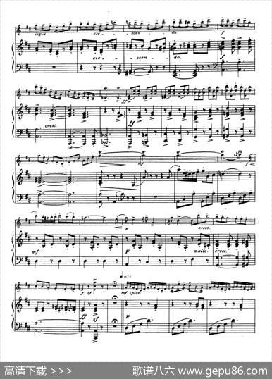 D大调学生协奏曲（塞茨作品第15号）|塞茨