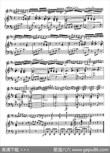 D大调学生协奏曲（塞茨作品第15号）|塞茨