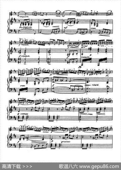 D大调学生协奏曲（塞茨作品第15号）|塞茨