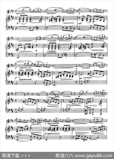 D大调学生协奏曲（塞茨作品第15号）|塞茨
