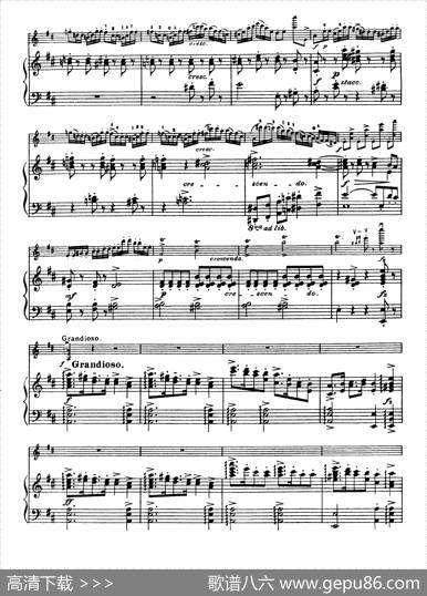 D大调学生协奏曲（塞茨作品第15号）|塞茨