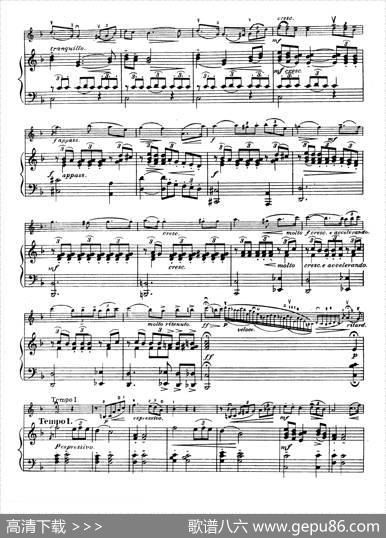 D大调学生协奏曲（塞茨作品第15号）|塞茨