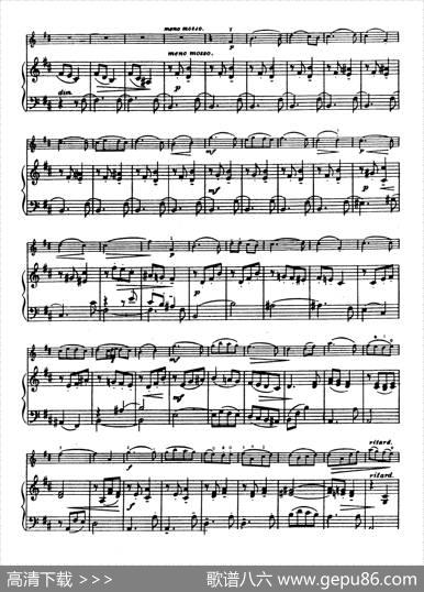 D大调学生协奏曲（塞茨作品第14号）|塞茨