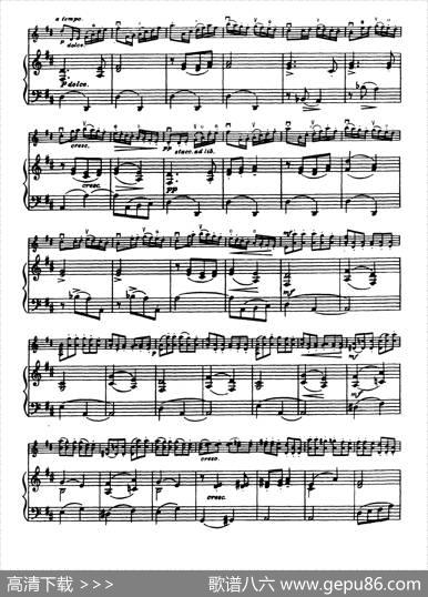 D大调学生协奏曲（塞茨作品第14号）|塞茨
