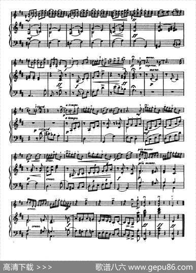 D大调学生协奏曲（塞茨作品第14号）|塞茨