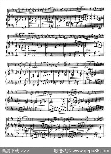 D大调学生协奏曲（塞茨作品第14号）|塞茨