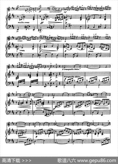 D大调学生协奏曲（塞茨作品第14号）|塞茨