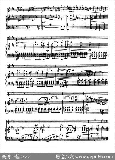D大调学生协奏曲（塞茨作品第14号）|塞茨