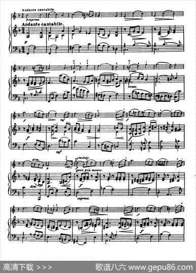 D大调学生协奏曲（塞茨作品第14号）|塞茨