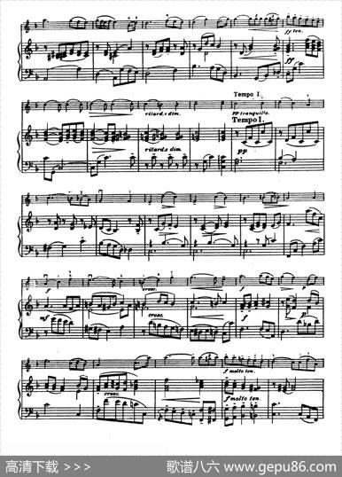 D大调学生协奏曲（塞茨作品第14号）|塞茨