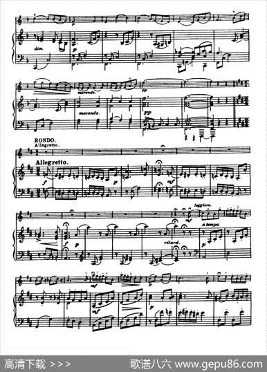D大调学生协奏曲（塞茨作品第14号）|塞茨