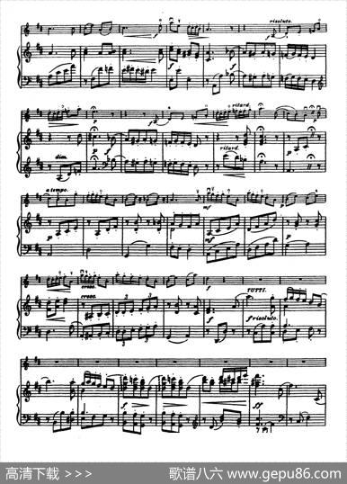 D大调学生协奏曲（塞茨作品第14号）|塞茨