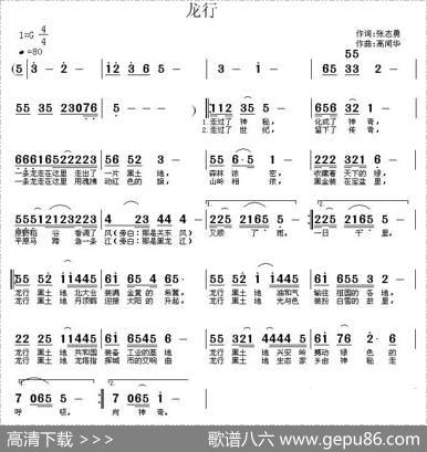 龙行 - 张志勇|高闻华
