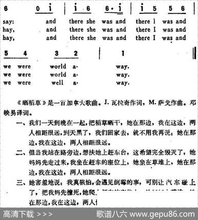 [加拿大]MAKINGHAY（晒稻草）