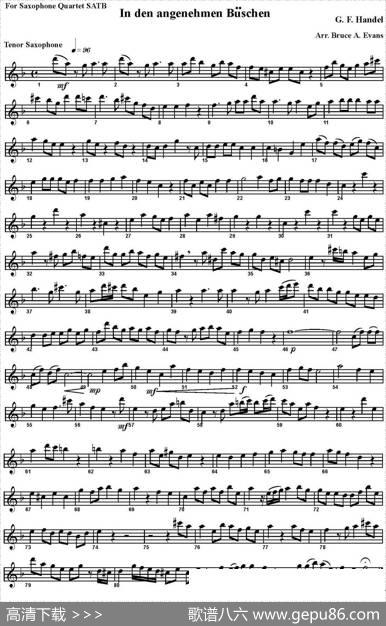 IndenangenehmenBuschen（四重奏·次中音萨克斯分谱）