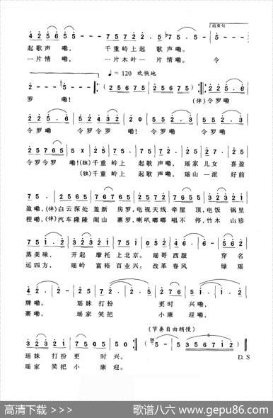 一片木叶一片情 - 张传义|张传义