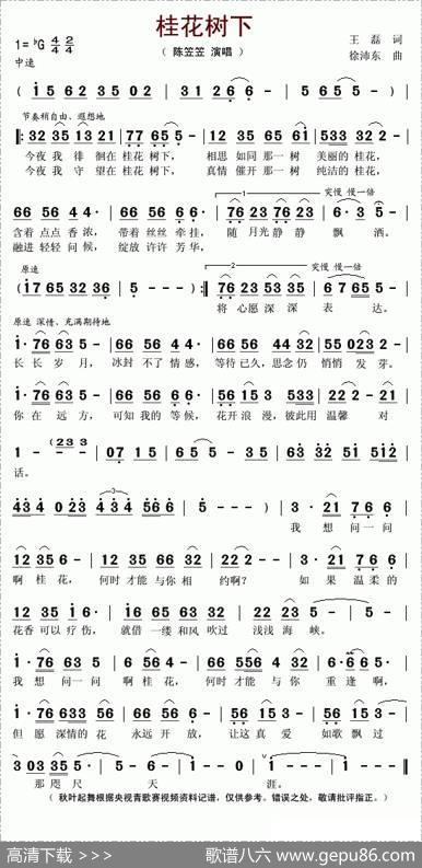 桂花树下 - 王磊|徐沛东