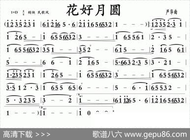 花好月圆（广东音乐）|严华